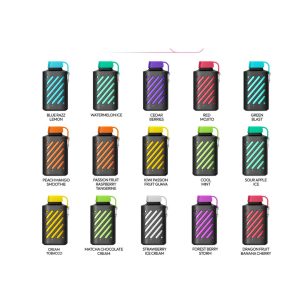 _Best Vozol Gear 10000 Disposable