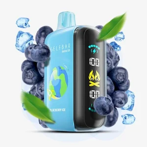 ELF Bar Raya D3 25K Disposable Vape in Dubai